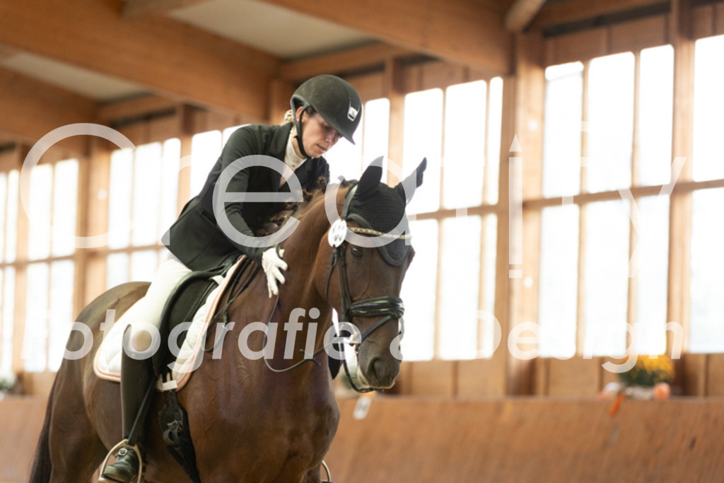 IMG_2012 | Creatify Fotografie