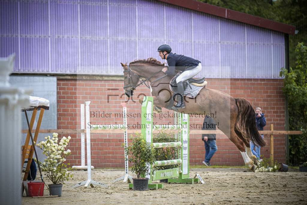 DOS_0167 | Entdecke hochwertige Reitturnierfotos von Foto Oger. Professionell, emotional und authentisch – jetzt Lieblingsmomente im Shop bestellen. - Realisiert mit Pictrs.com
