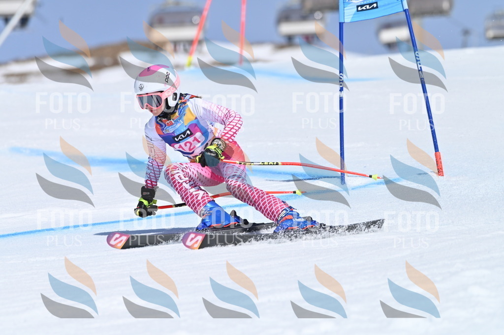 BGV_9830 | holidayphoto