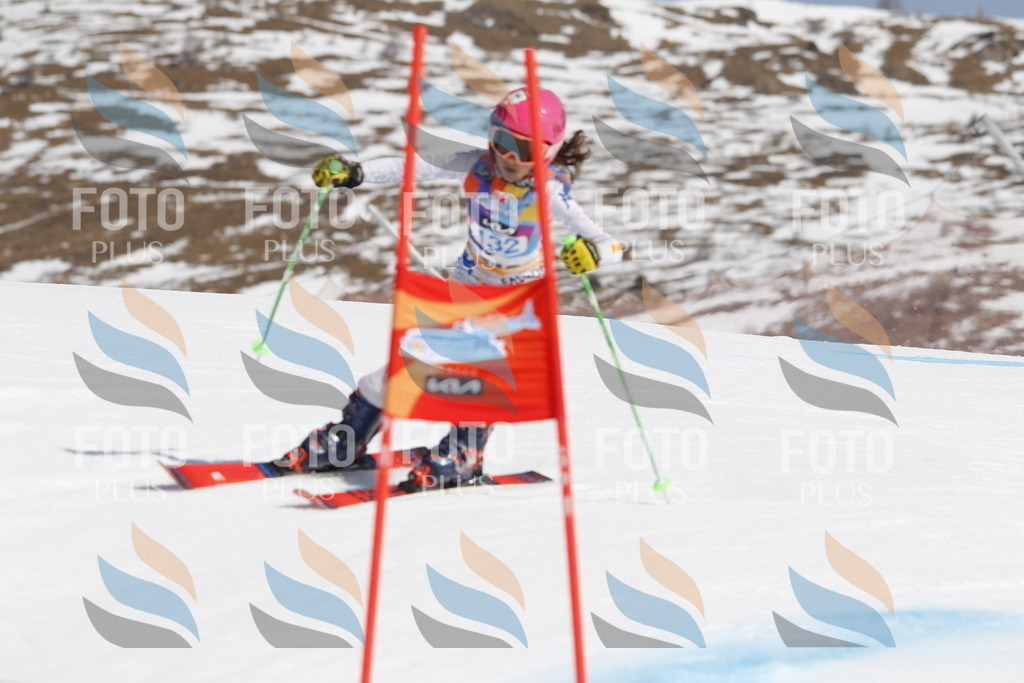 _U3G0894 | holidayphoto