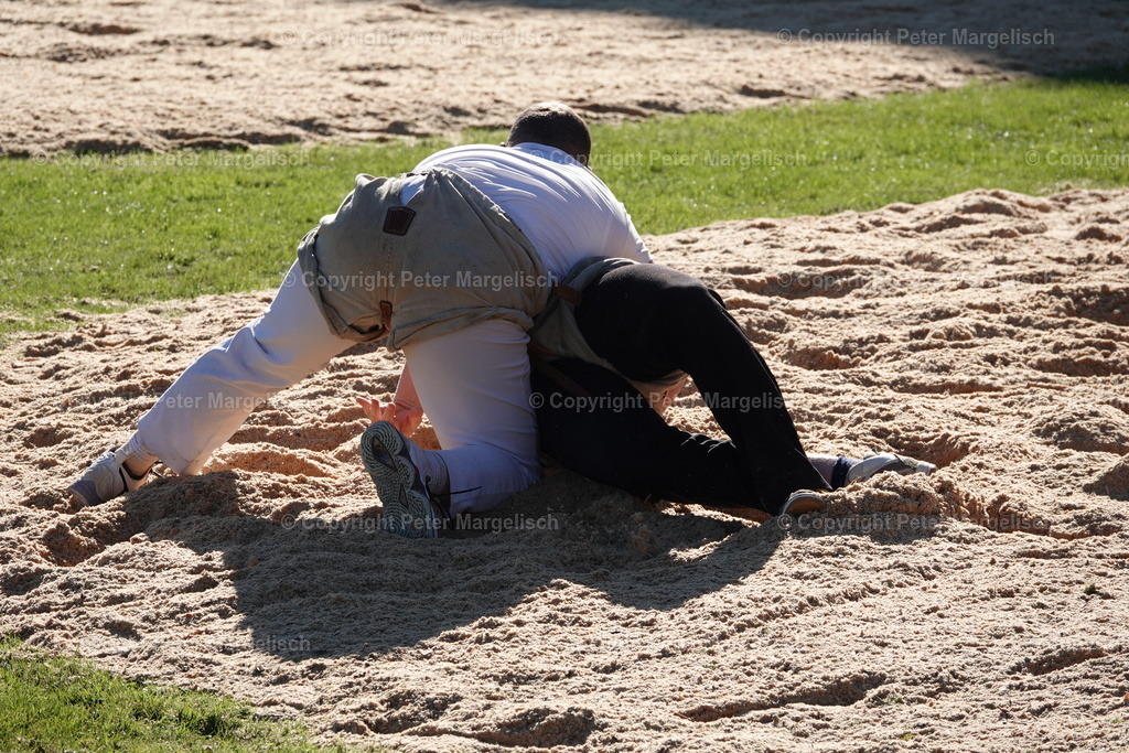 DSC01966 | Schwingen - Realisiert mit Pictrs.com