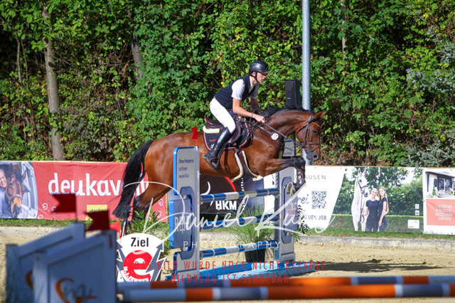 DKP43457 | Turniersportfotografie; Pferdefotografie; Dressurfotografie