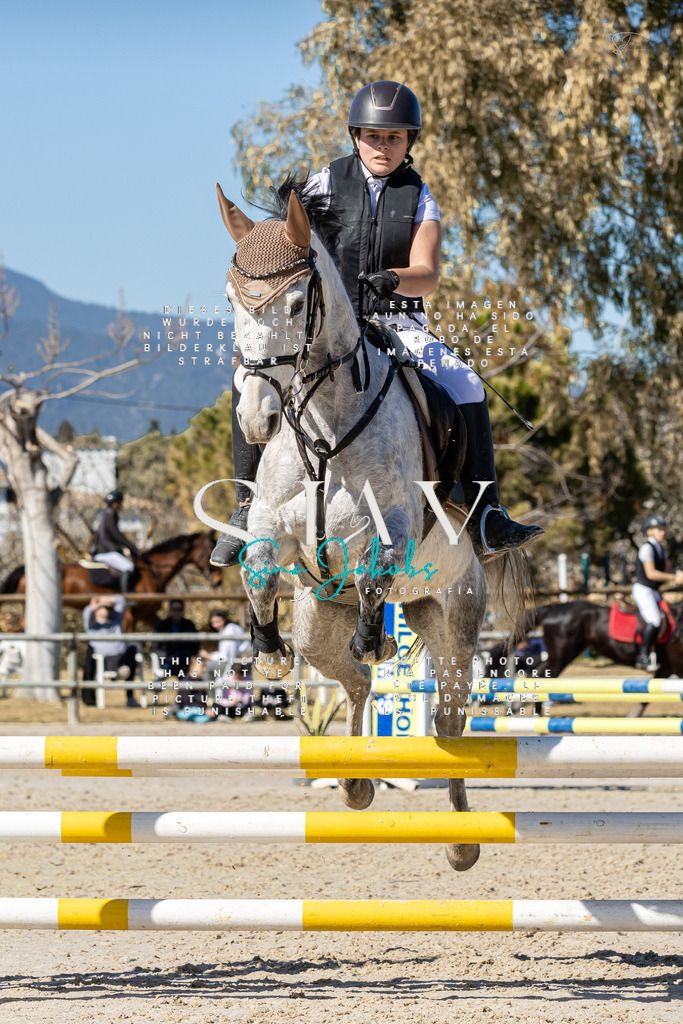 IMG_9390 | s-jay-photography - Realisiert mit Pictrs.com