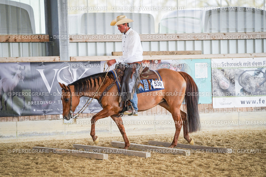 DSC00745 | Pferdegrafie