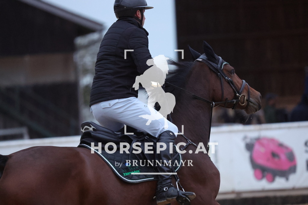 0P6A5179 | Willkommen bei Brunnmayr - Design & Fotografie – Ihrem Spezialisten für Reitturniere und Pferdeveranstaltungen in Oberösterreich, Salzburg und Bayern! Seit über 17 Jahren sind wir leidenschaftlich dabei.