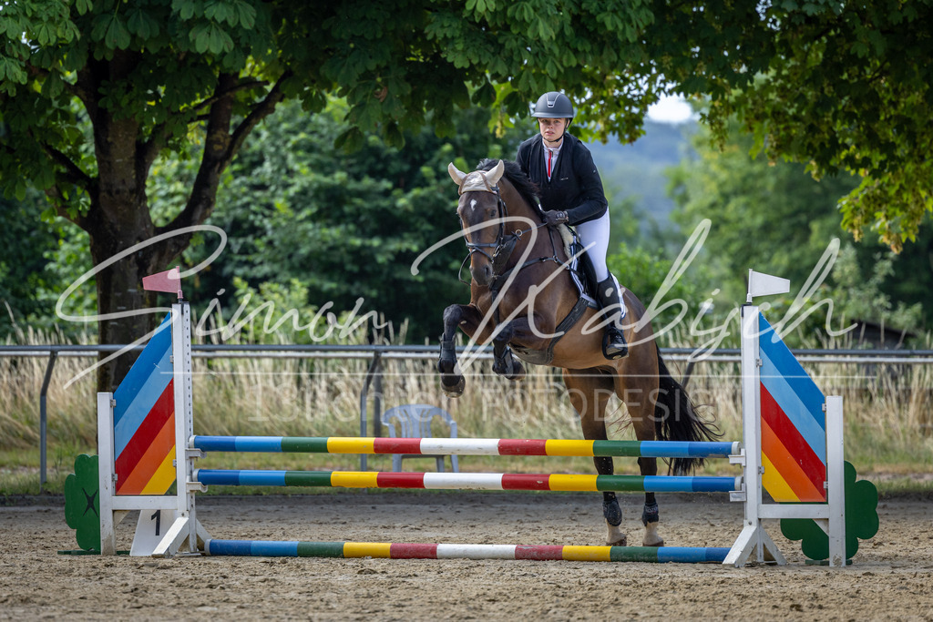 20260704-_3LI6430 | Tierfotografie Pferde, Hunde, Katzen, Haustiere.
Turnierfotografie Reitturniere, Reiten, Springreiten, Dressur in Hanau, dem Main-Kinzig-Kreis und dem Rhein-Main- Gebiet um Frankfurt