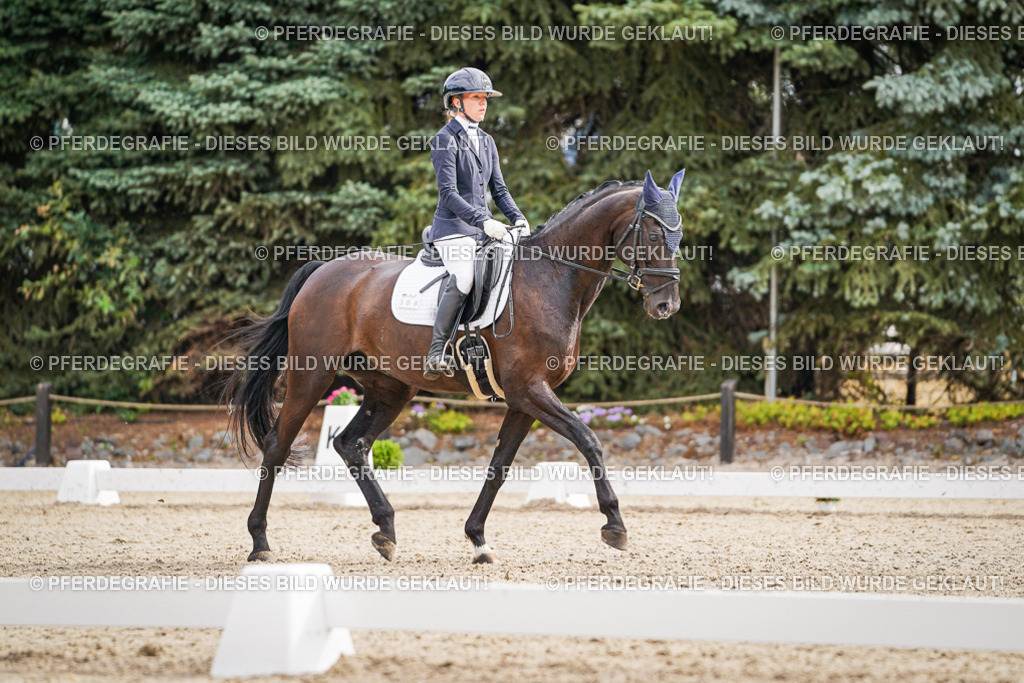 DSC01886 | Pferdegrafie