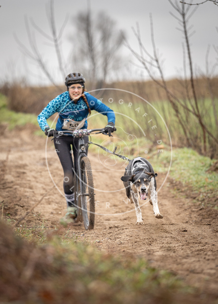 DV3A9192 | Hundefotografie, Tierfotograf, Pfotenfotografie, Fotoshooting Hund, Hunde Portrait, Hundesport, Hundeportraits, Heideshooting, Hunde, Sportfotograf, Hundefotograf, Turnierhundsport, THS,  - Realisiert mit Pictrs.com