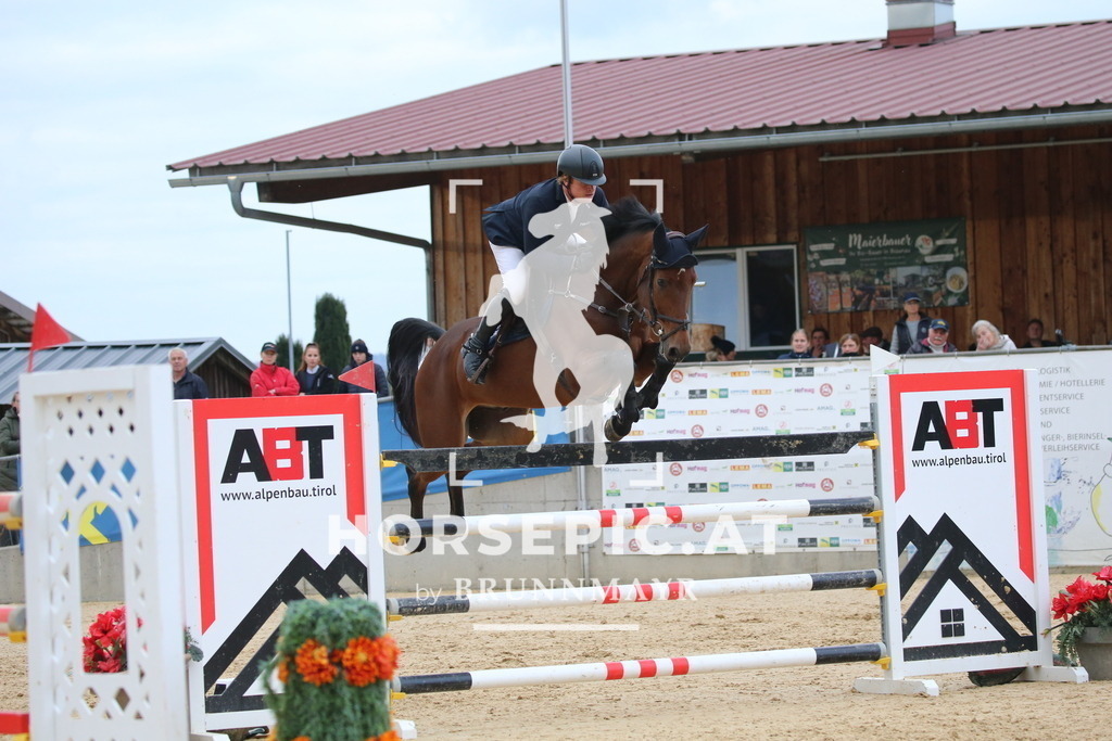 DL2Q6144 | Willkommen bei Brunnmayr - Design & Fotografie – Ihrem Spezialisten für Reitturniere und Pferdeveranstaltungen in Oberösterreich, Salzburg und Bayern! Seit über 17 Jahren sind wir leidenschaftlich dabei.
