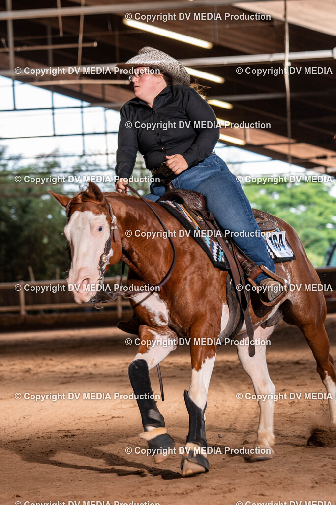 Erbach Tag 2-1178 | dv-media-shop - Realisiert mit Pictrs.com