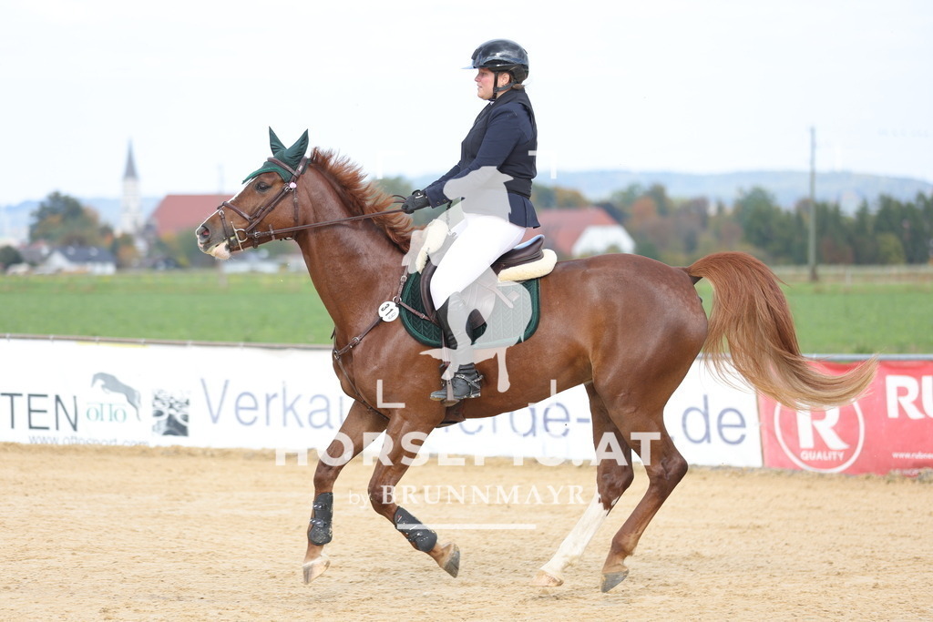 0P6A8660 | Willkommen bei Brunnmayr - Design & Fotografie – Ihrem Spezialisten für Reitturniere und Pferdeveranstaltungen in Oberösterreich, Salzburg und Bayern! Seit über 17 Jahren sind wir leidenschaftlich dabei.
