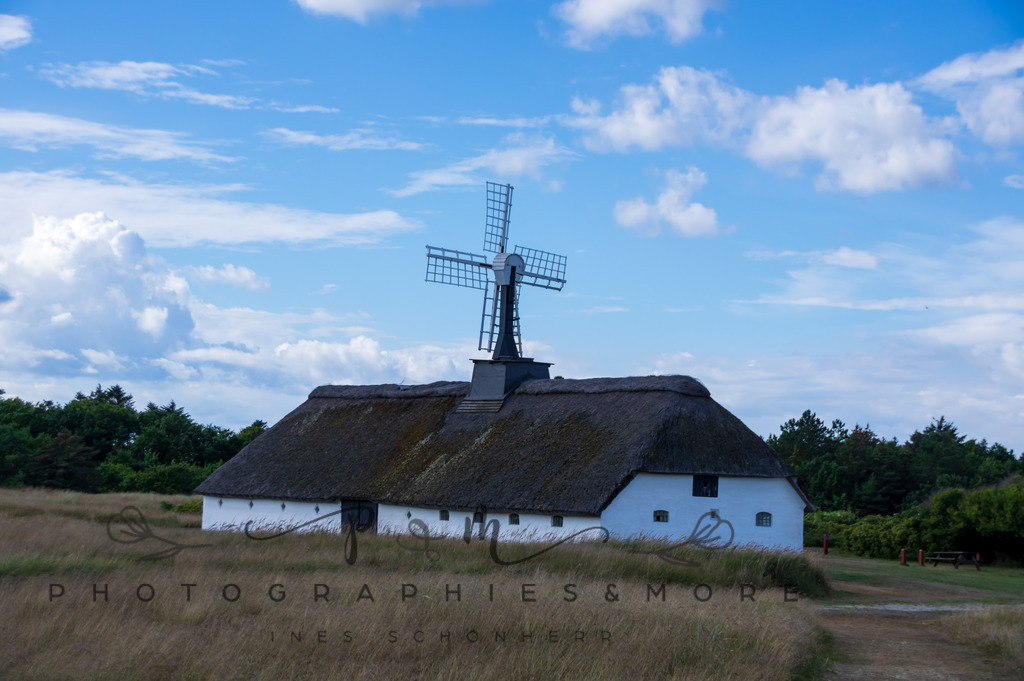 _Reservat2022-1567 | Photographies and more - Realisiert mit Pictrs.com