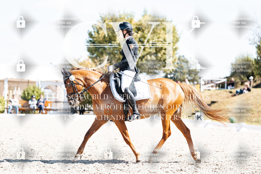 CK903624 | Turnierfotografie Pferdefotografie Trier Rheinland-Pfalz Pferdesport Reitsport Tierfotografie Sportfotografie Pferdevideo Pferdevideografie Equestrianvideography equestrianphotography  - Realisiert mit Pictrs.com