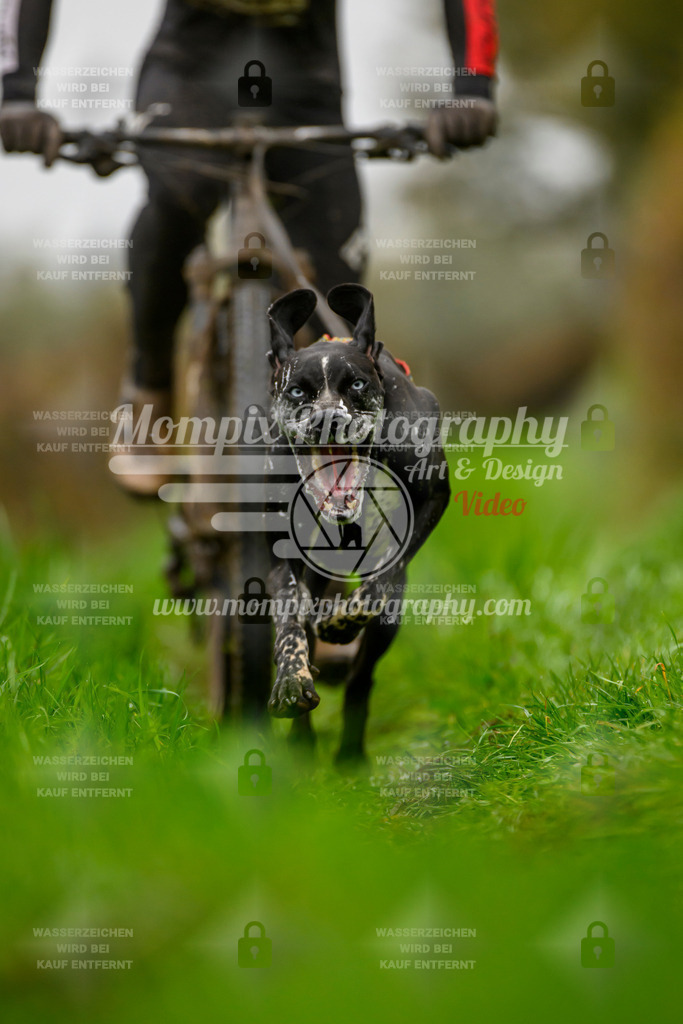 MompixPhotography_20TSB_E8_Bike-32 | PayLife