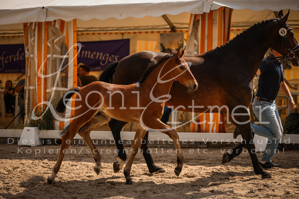 09.DoWBD00048 | Leoni Ertmer Photography - Realisiert mit Pictrs.com