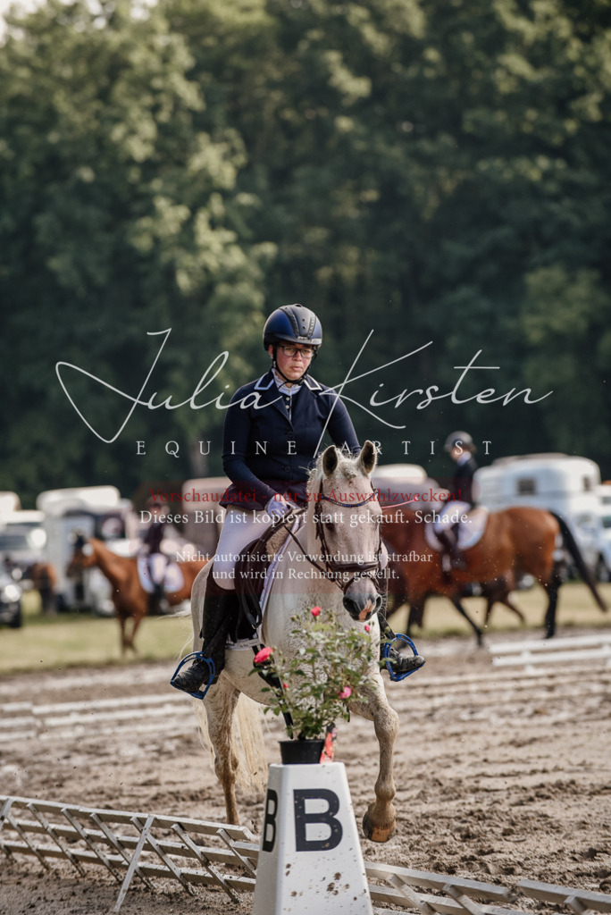 DSC_8057 | Pferde- und Turnierfotografie in Westsachsen. Pferdeportraits, Auftragszeichnungen und intuitive Kunst.