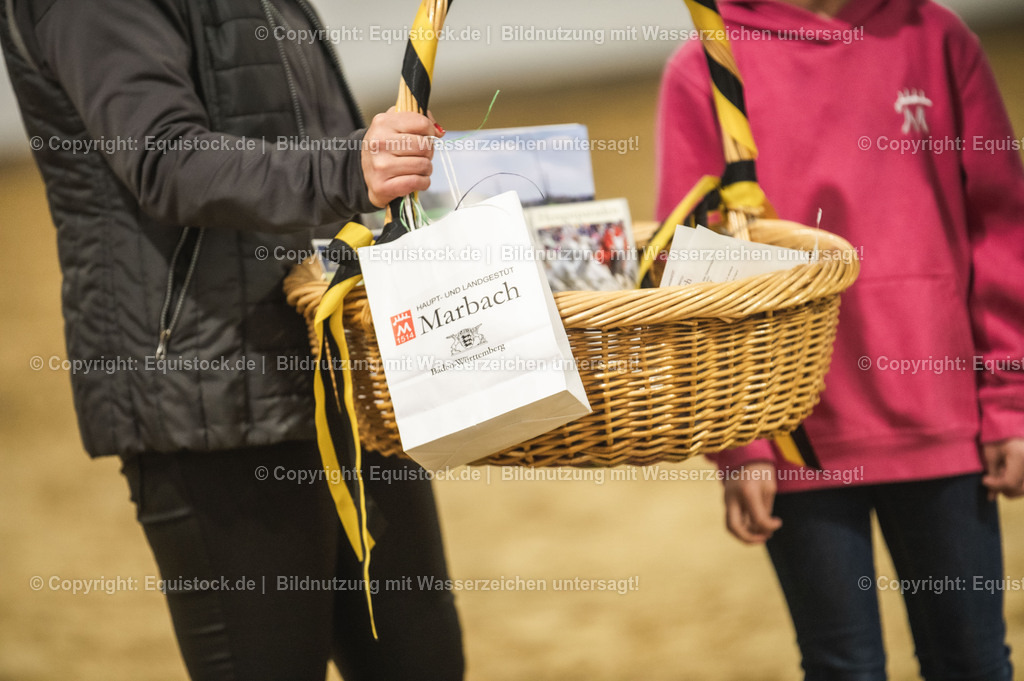 20240302_Hengstvorstellung_Marbach_TOMsPiC_1313 | equistock