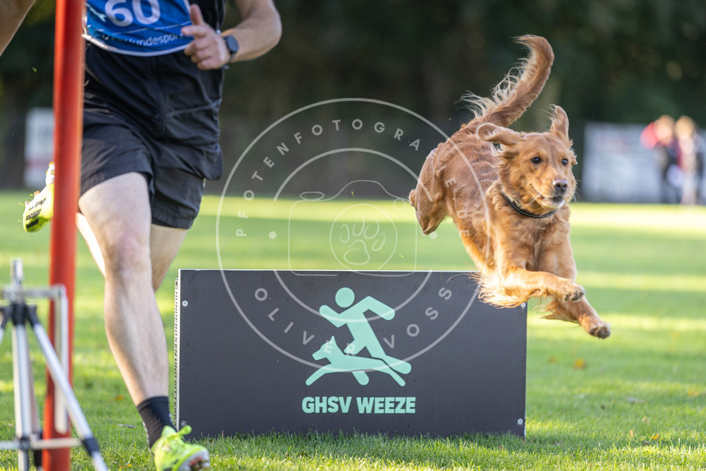 Pfotenfotografie.de_DV3A3676 | Hundefotografie, Tierfotograf, Pfotenfotografie, Fotoshooting Hund, Hunde Portrait, Hundesport, Hundeportraits, Heideshooting, Hunde, Sportfotograf, Hundefotograf, Turnierhundsport, THS, canicross - Realisiert mit Pictrs.com