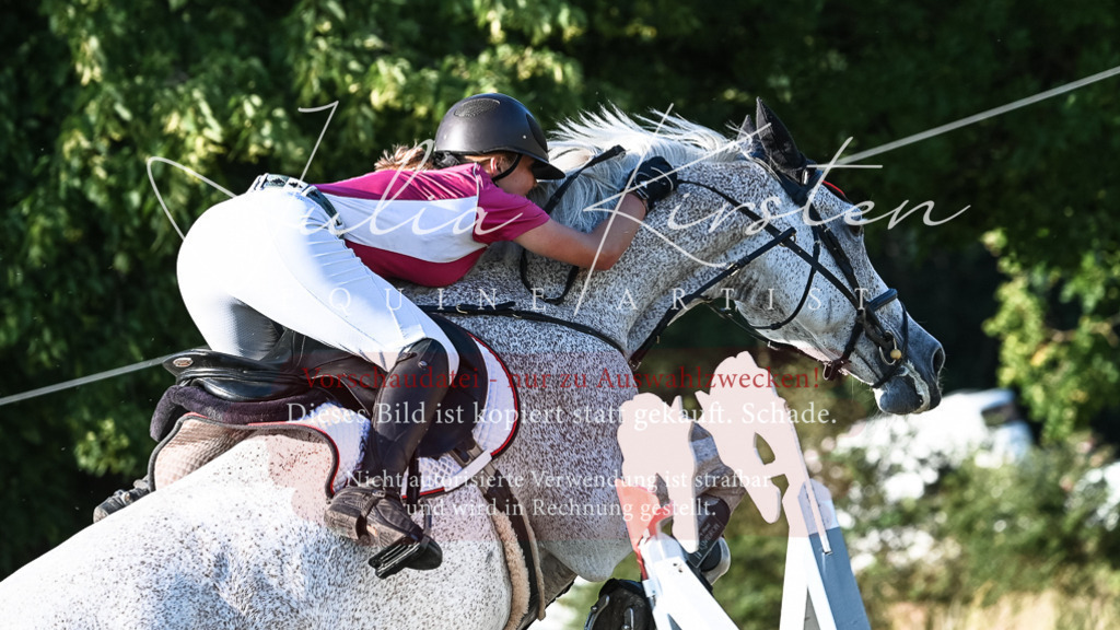 DSC_3034 | Pferde- und Turnierfotografie in Westsachsen. Pferdeportraits, Auftragszeichnungen und intuitive Kunst.