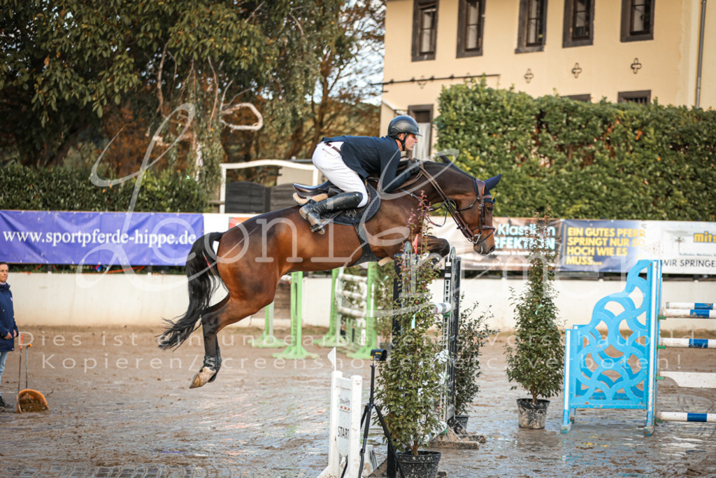 13.SaSpS00187 | Leoni Ertmer Photography - Realisiert mit Pictrs.com