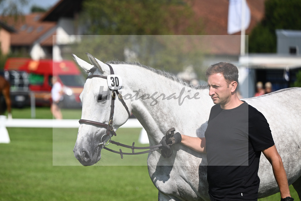 Kat-Nr. 30 Triest_Bray_34240398 | hf-fotografie - Realisiert mit Pictrs.com