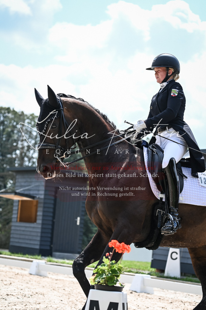 DSC_2338 | Pferde- und Turnierfotografie in Westsachsen. Pferdeportraits, Auftragszeichnungen und intuitive Kunst.