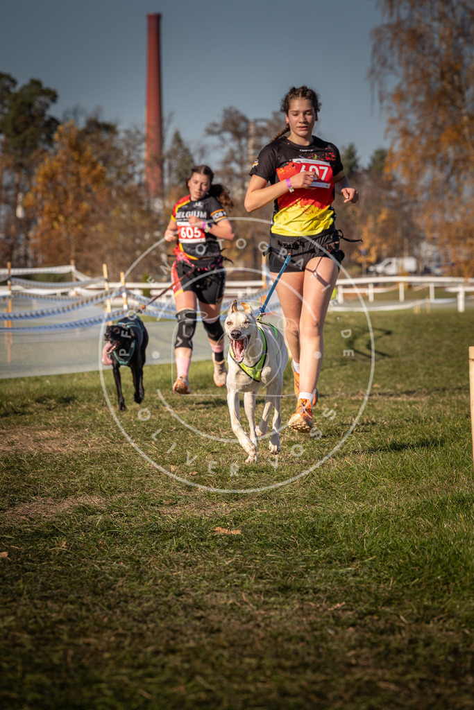 CaniXpix_0L8A8624 | Hundefotografie, Tierfotograf, Pfotenfotografie, Fotoshooting Hund, Hunde Portrait, Hundesport, Hundeportraits, Heideshooting, Hunde, Sportfotograf, Hundefotograf, Turnierhundsport, THS,  - Realisiert mit Pictrs.com