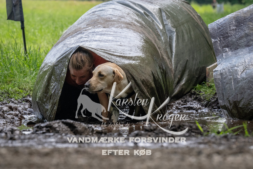 1143_ZZ94129 | kk-dogfotos