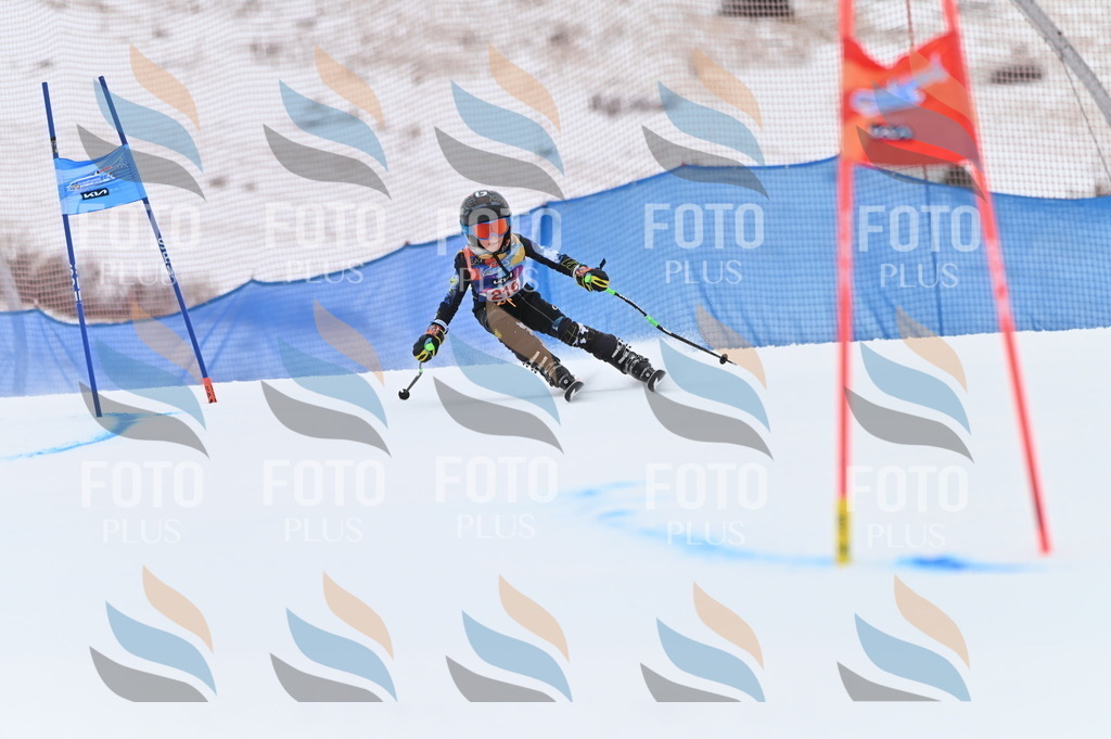 BGV_2789 | holidayphoto