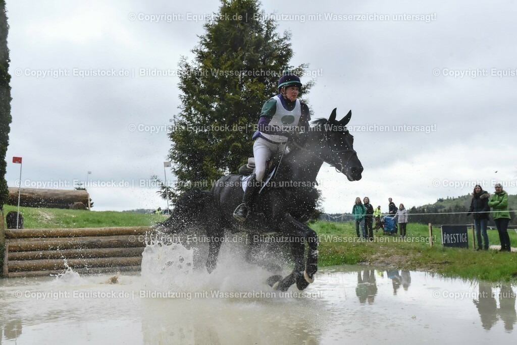 20230513_CCI2_Section2_Gelände_0527 | equistock