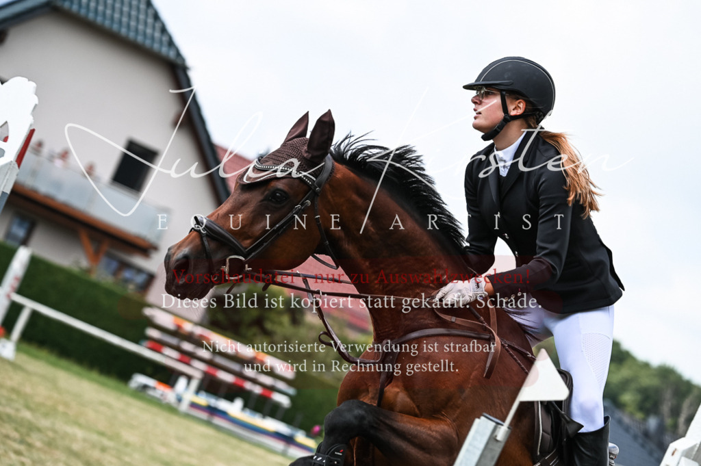 DSC_9048 | Pferde- und Turnierfotografie in Westsachsen. Pferdeportraits, Auftragszeichnungen und intuitive Kunst.