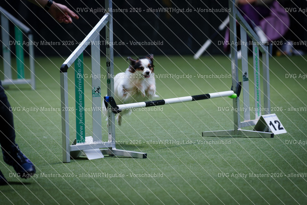allesWIRTHgut_Tierfotografie-DVG_Agility_Masters_2026-12_19-7R502187 | Professionelle Tierfotografie in Mönchengladbach von Daniel Wirth (allesWIRTHgut). Liebevolle & natürliche Bilder von Hunden & Katzen für unvergessliche Erinnerungen.