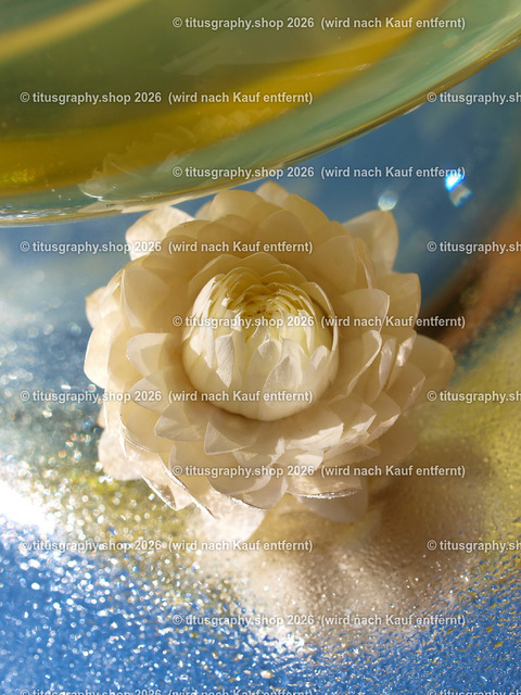 titusgraphy_P6167072-vz-ln | titusgraphy-shop: Geschenkideen mit Qualitätsfotos. titusgraphy-shop: gift ideas with quality photos. titusgraphy-shop: idées cadeaux avec photos de qualité.  - Realisiert mit Pictrs.com