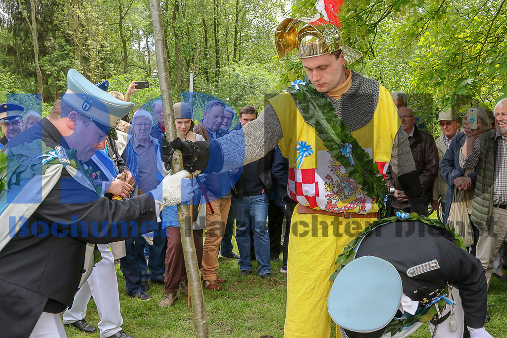  28.04.2018 - 
 | Sebastian Sendlak / Bochumer Nachrichtendienst (BOND) - Bochum Allgemein - Maischuetzen EIchausgrabung - Realisiert mit Pictrs.com