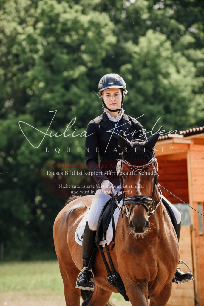DSC_0430 | Pferde- und Turnierfotografie in Westsachsen. Pferdeportraits, Auftragszeichnungen und intuitive Kunst.