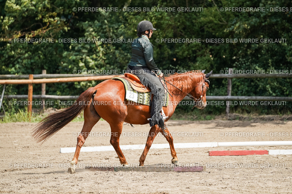 DSC06510 | Pferdegrafie