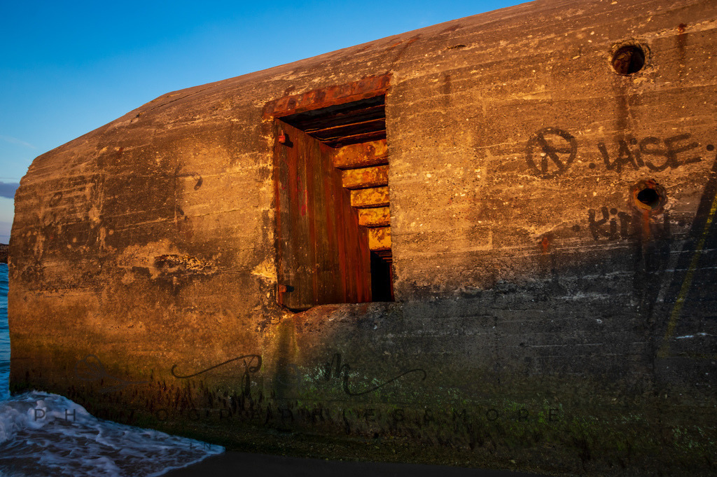 _Sommer2022-0836 | Photographies and more - Realisiert mit Pictrs.com