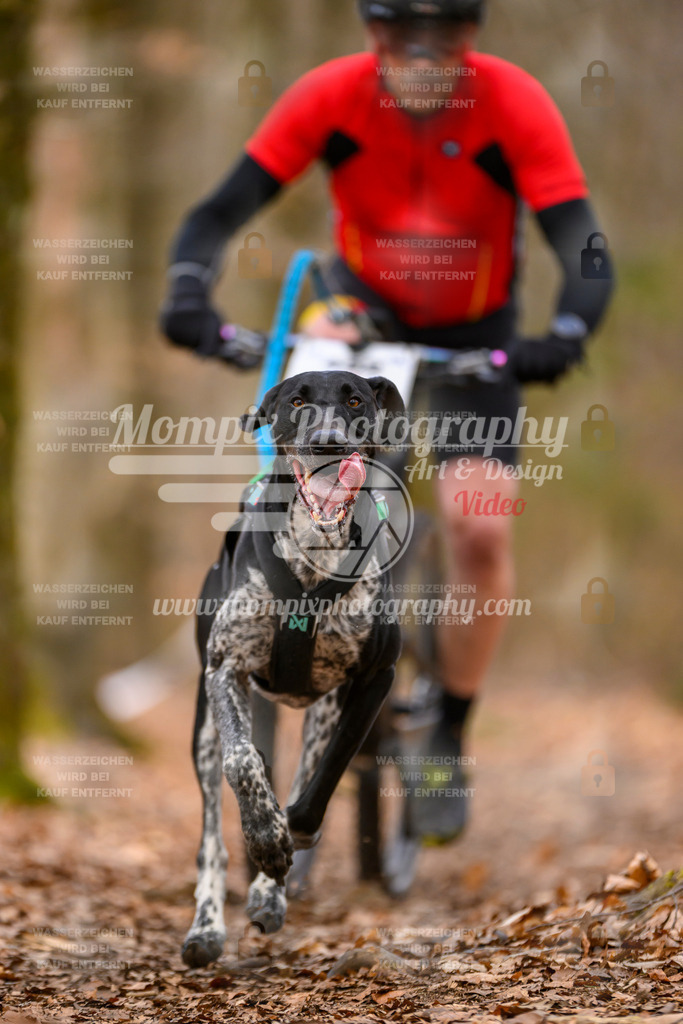 MompixPhotography_Habay2025_SA_Bike-18 | PayLife