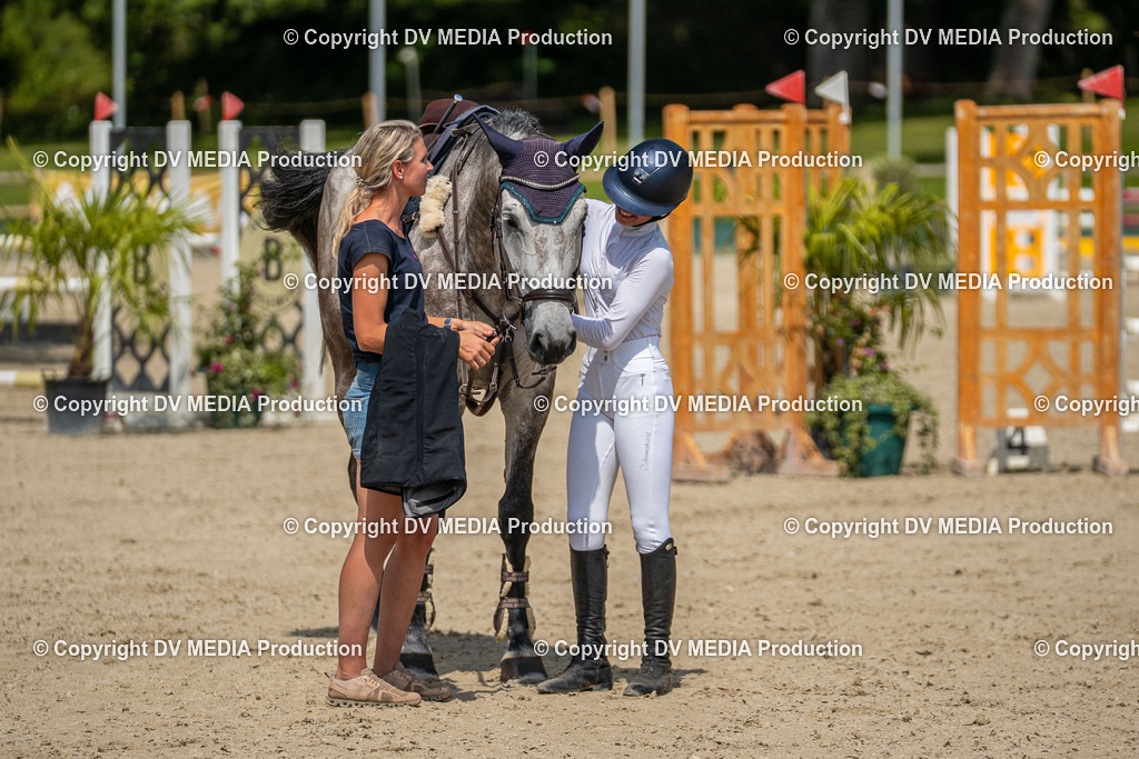 Hessische Tag 3-263 | dv-media-shop - Realisiert mit Pictrs.com