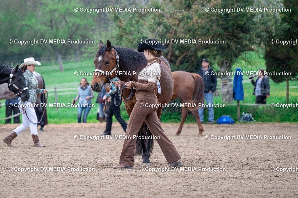 BA300058 | dv-media-shop - Realisiert mit Pictrs.com