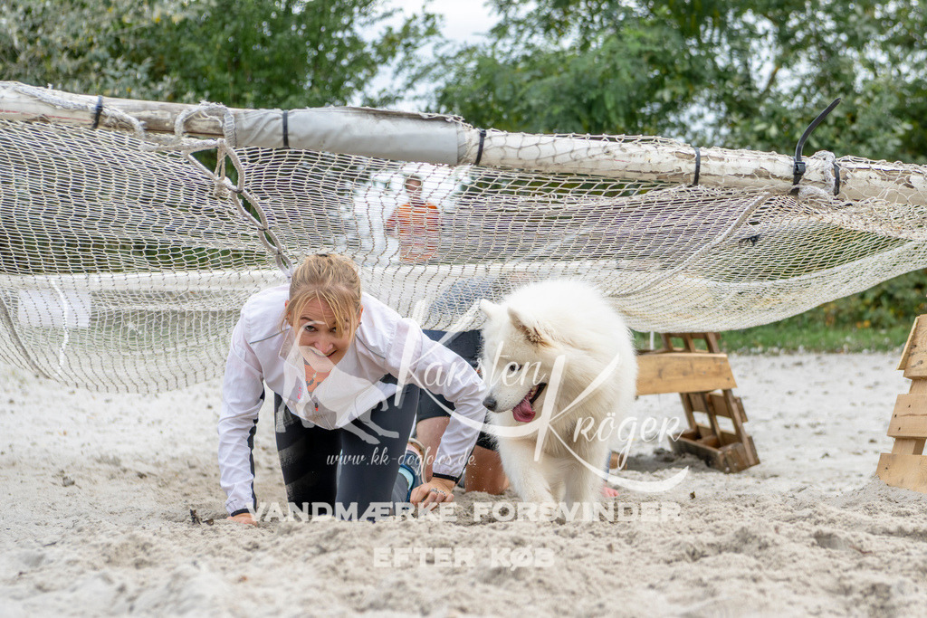 1517_ZZ93937 | kk-dogfotos