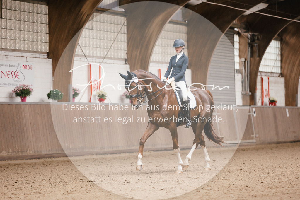 3I6A8525 | Stimmungsvolle Portraits und Reitsportfotografie im Ruhrgebiet und im Münsterland.

Pferdefotografie, Hundefotografie, Tierfotografie, Reportagen, Portraits von Tier und Mensch, Turnierfotografie in Bochum, Recklinghausen, Marl, Haltern am See, Dülmen.. - Realisiert mit Pictrs.com