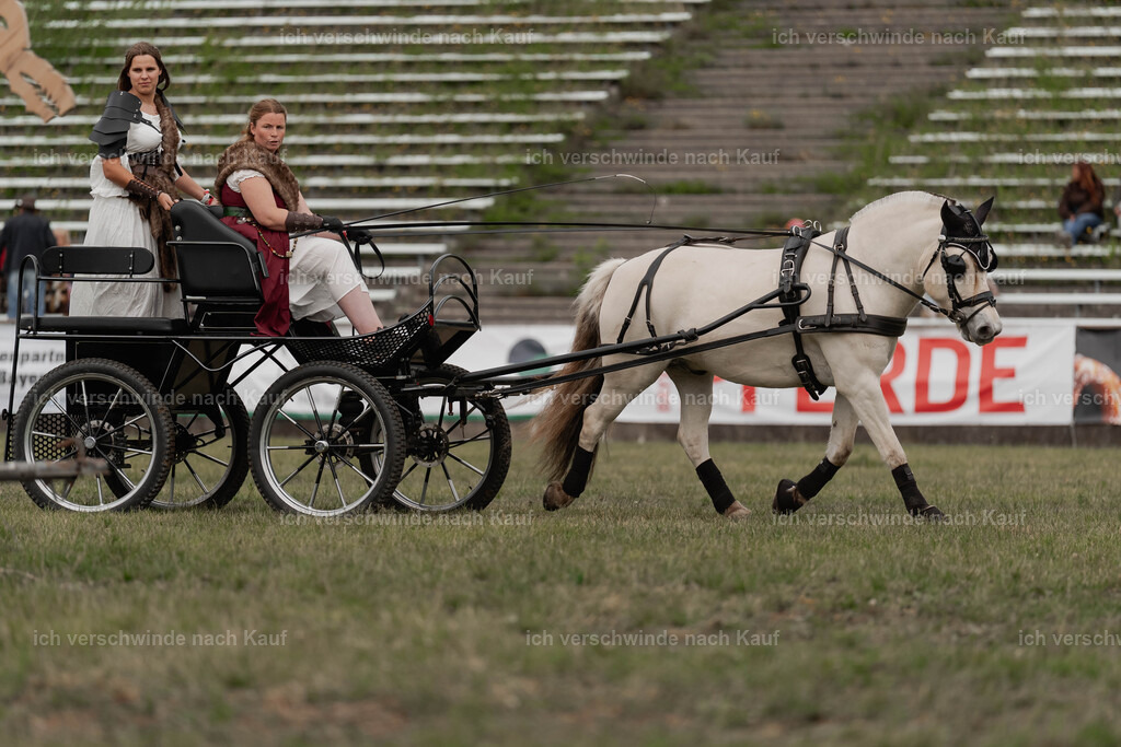 Showprogramm-342 | working equitationturnier fotograf videograf stoibphotography marixx film working equitation deutschland reitsport turnierfotografie eventfotografie equestrian events