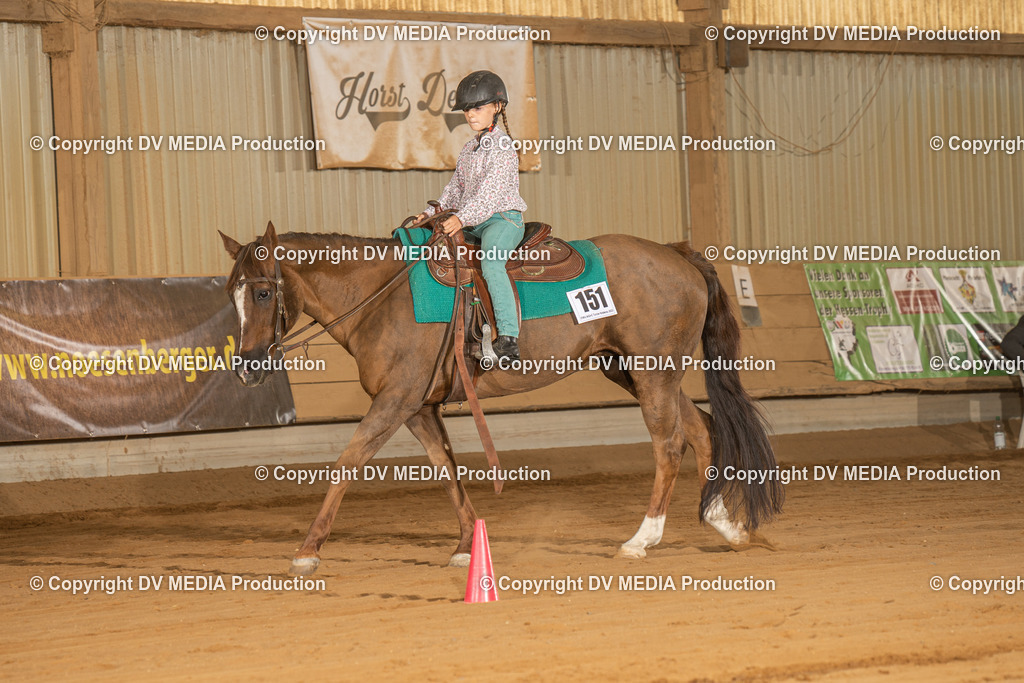 NID02901 | dv-media-shop - Realisiert mit Pictrs.com