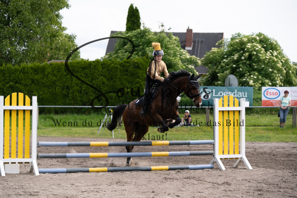 A7V04702 | Pferdefotograf