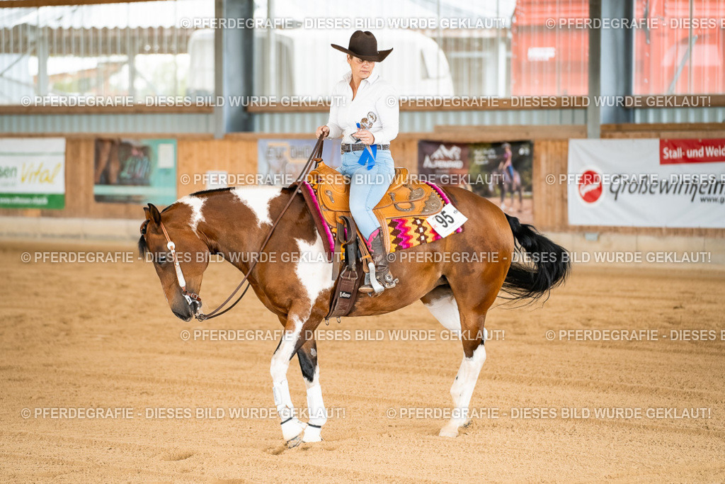 DSC02534 | Pferdegrafie