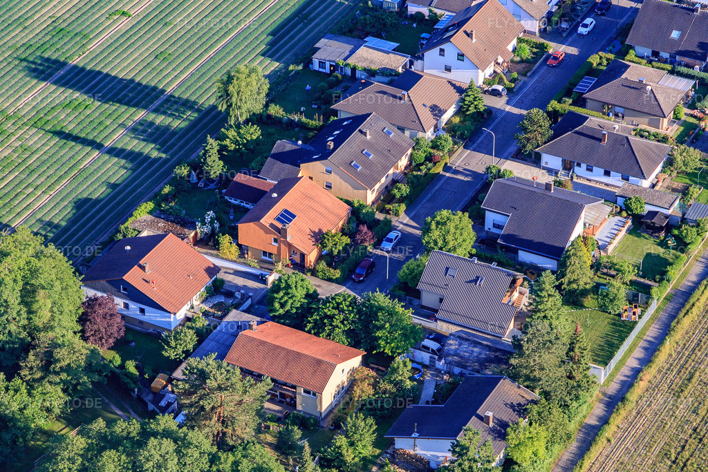 Luftbild: Waldstr in Erlenbach bei Kandel im Bundesland Rheinland-Pfalz in Deutschland. Foto: IMG_115091.jpg vom 13.06.2019 durch Werner Riehm/FLY-FOTO.de