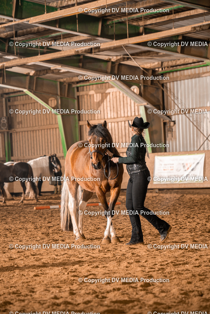 BAL01231 | dv-media-shop - Realisiert mit Pictrs.com