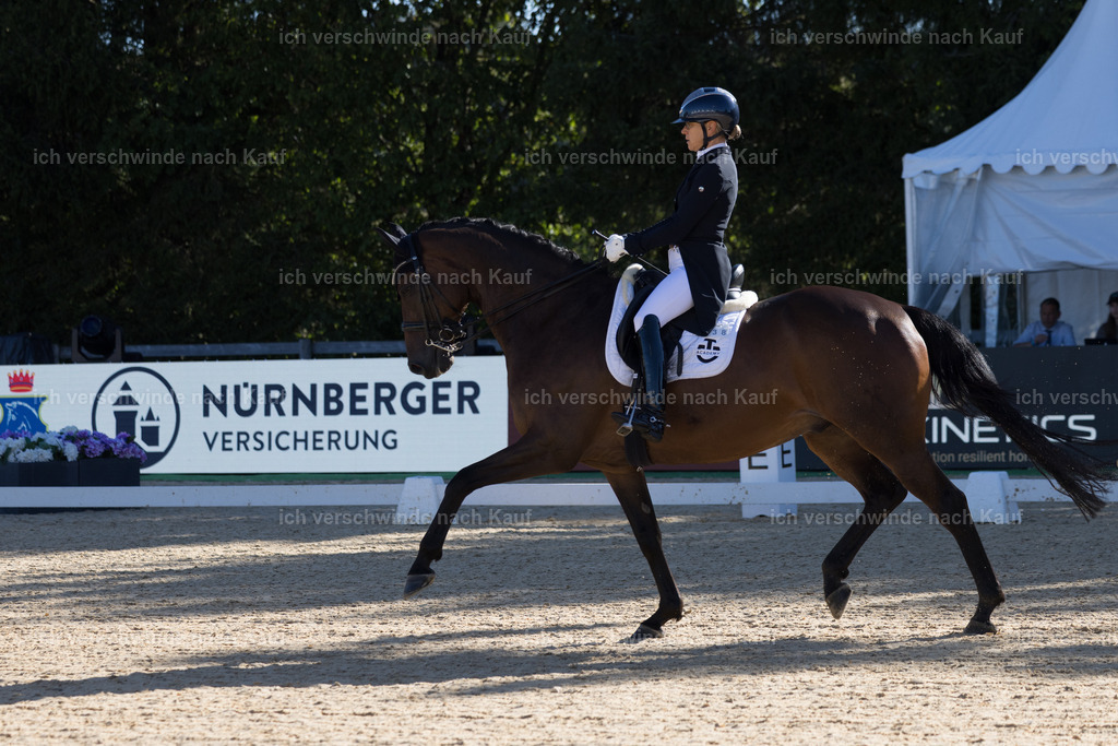 FHC2026_P07_238_17198 | working equitationturnier fotograf videograf stoibphotography marixx film working equitation deutschland reitsport turnierfotografie eventfotografie equestrian events