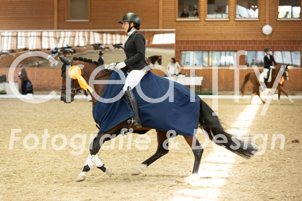 IMG_6307 | Creatify Fotografie